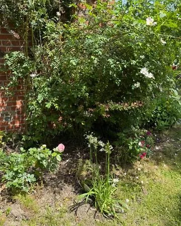 La Ferme Du Bonheur Bed & Breakfast *