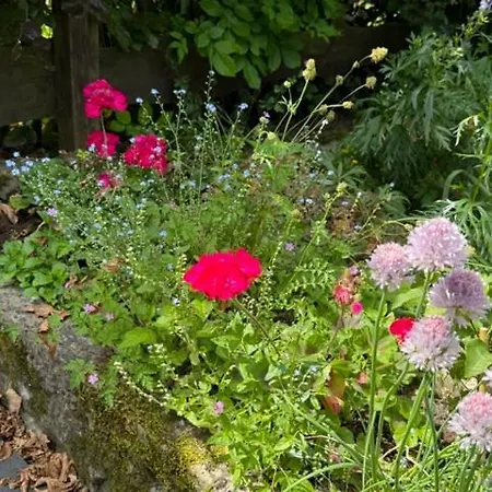 La Ferme Du Bonheur Bed & Breakfast Rochefort